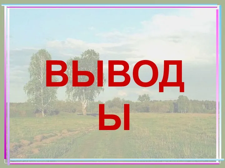 ВЫВОДЫ