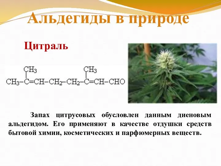 Запах цитрусовых обусловлен данным диеновым альдегидом. Его применяют в качестве отдушки