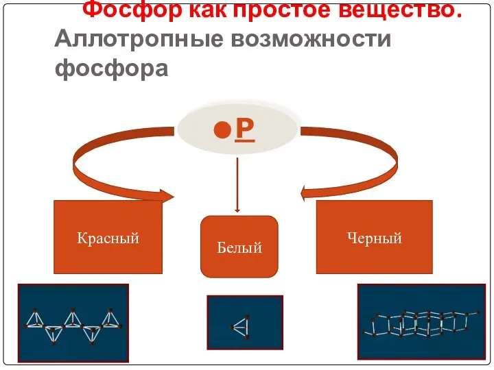 Фосфор как простое вещество. Аллотропные возможности фосфора Р Красный Белый Черный