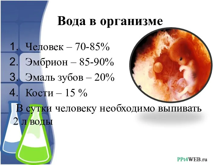 Вода в организме Человек – 70-85% Эмбрион – 85-90% Эмаль зубов