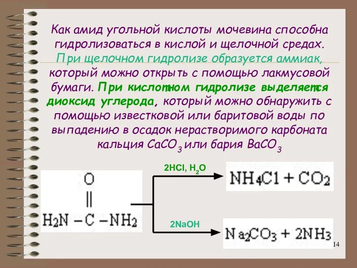 Как амид угольной кислоты мочевина способна гидролизоваться в кислой и щелочной