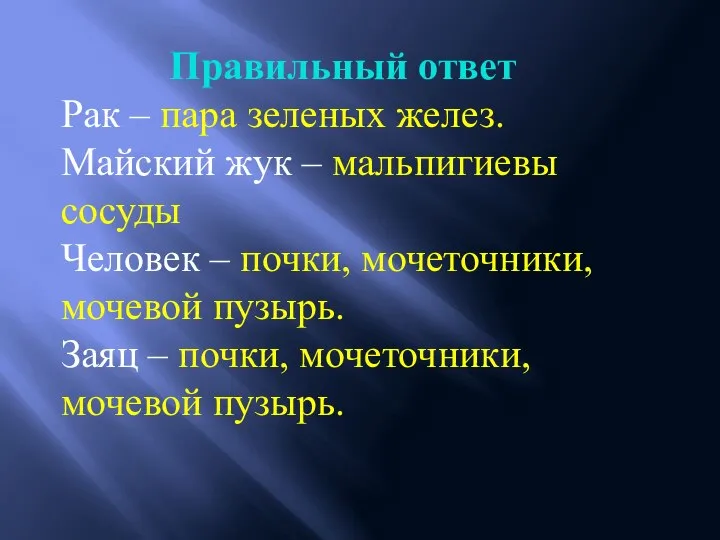 Правильный ответ Рак – пара зеленых желез. Майский жук – мальпигиевы