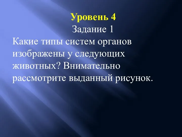 Уровень 4 Задание 1 Какие типы систем органов изображены у следующих животных? Внимательно рассмотрите выданный рисунок.