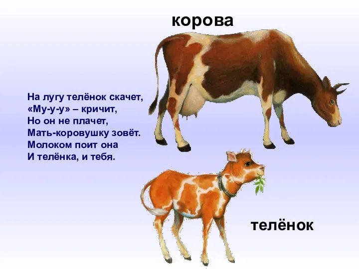 На лугу телёнок скачет, «Му-у-у» – кричит, Но он не плачет,