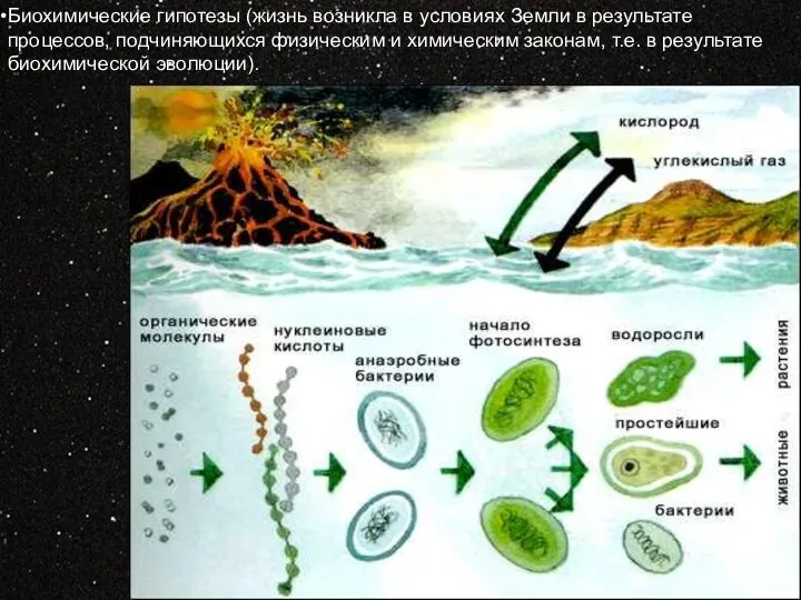 Биохимические гипотезы (жизнь возникла в условиях Земли в результате процессов, подчиняющихся