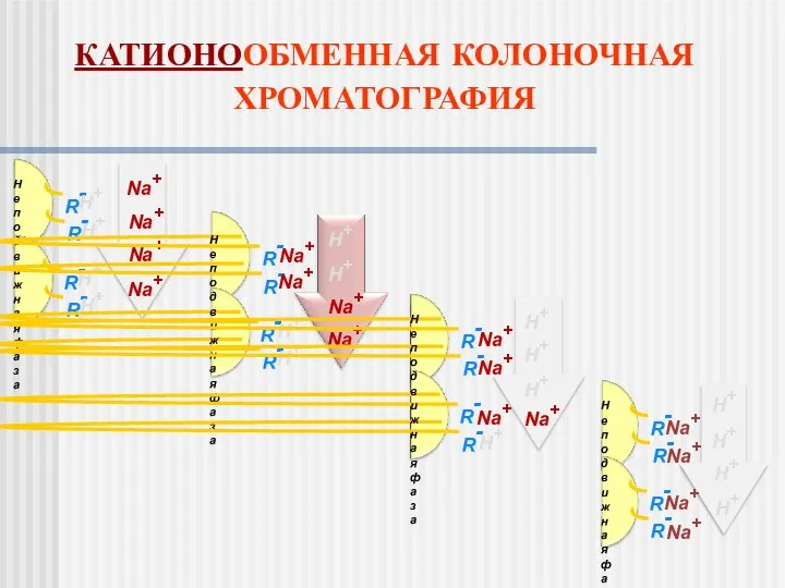 КАТИОНООБМЕННАЯ КОЛОНОЧНАЯ ХРОМАТОГРАФИЯ