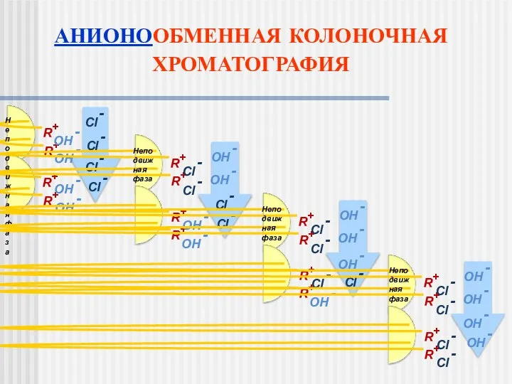 АНИОНООБМЕННАЯ КОЛОНОЧНАЯ ХРОМАТОГРАФИЯ