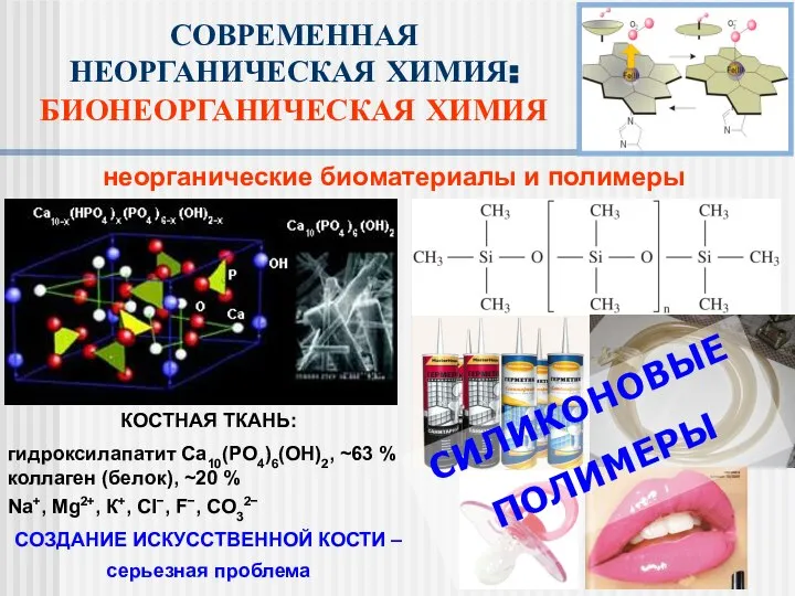 неорганические биоматериалы и полимеры СОВРЕМЕННАЯ НЕОРГАНИЧЕСКАЯ ХИМИЯ: БИОНЕОРГАНИЧЕСКАЯ ХИМИЯ КОСТНАЯ ТКАНЬ: