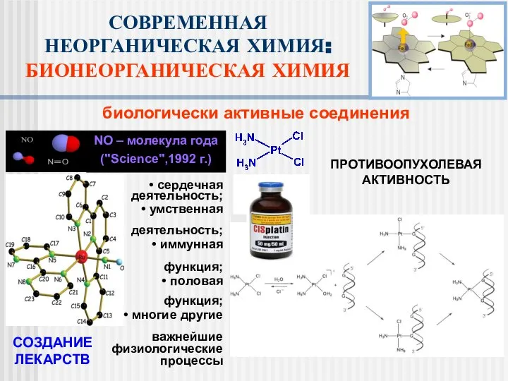 биологически активные соединения сердечная деятельность; умственная деятельность; иммунная функция; половая функция;