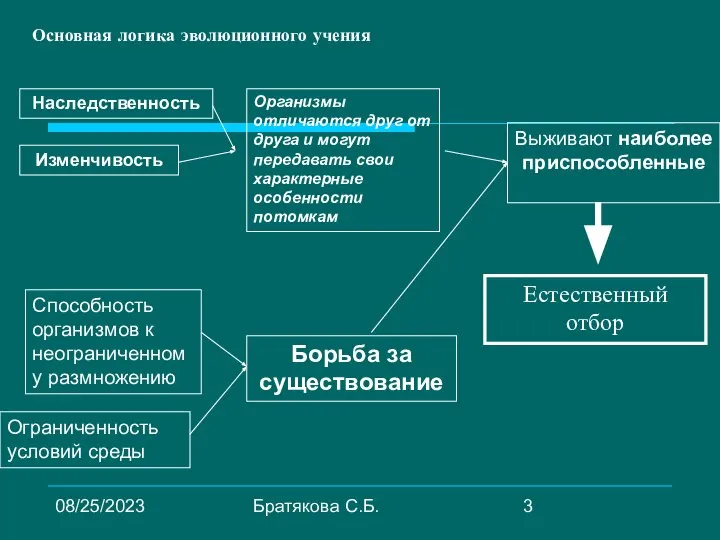 08/25/2023 Братякова С.Б. Основная логика эволюционного учения Наследственность Изменчивость Способность организмов