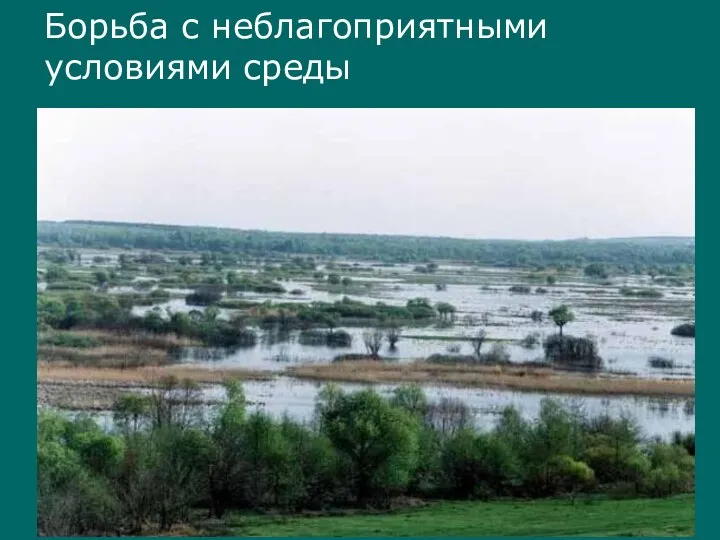 08/25/2023 Братякова С.Б. Борьба с неблагоприятными условиями среды