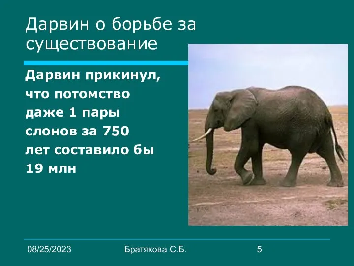 08/25/2023 Братякова С.Б. Дарвин о борьбе за существование Дарвин прикинул, что