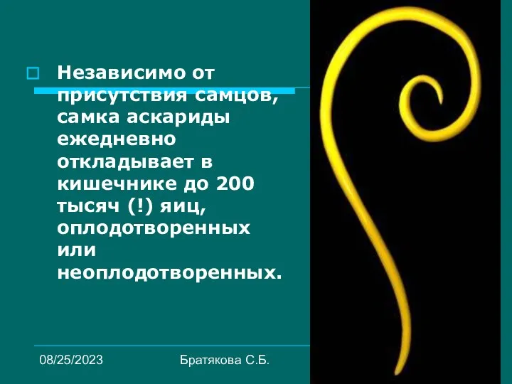 08/25/2023 Братякова С.Б. Независимо от присутствия самцов, самка аскариды ежедневно откладывает