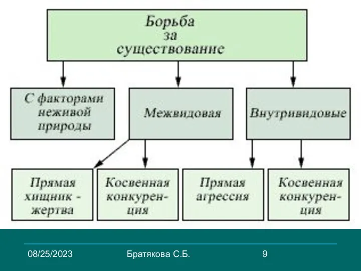 08/25/2023 Братякова С.Б.