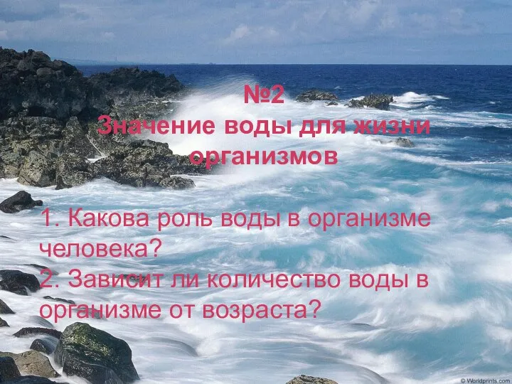 №2 Значение воды для жизни организмов 1. Какова роль воды в