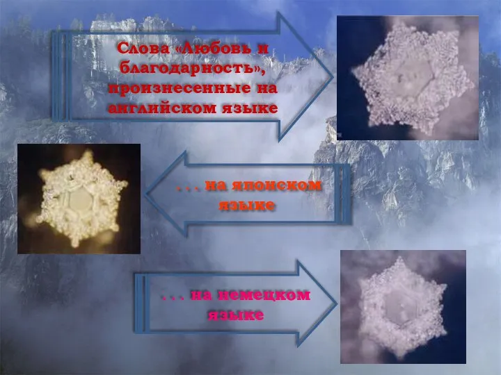 Слова «Любовь и благодарность», произнесенные на английском языке . . .