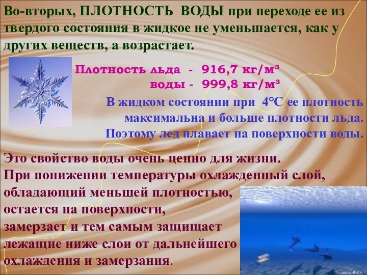 Это свойство воды очень ценно для жизни. При понижении температуры охлажденный