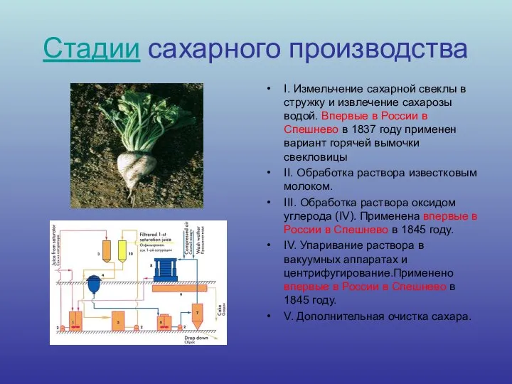 Стадии сахарного производства I. Измельчение сахарной свеклы в стружку и извлечение