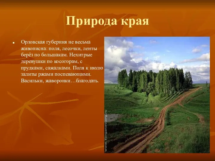 Природа края Орловская губерния не весьма живописна: поля, лесочки, ленты берёз