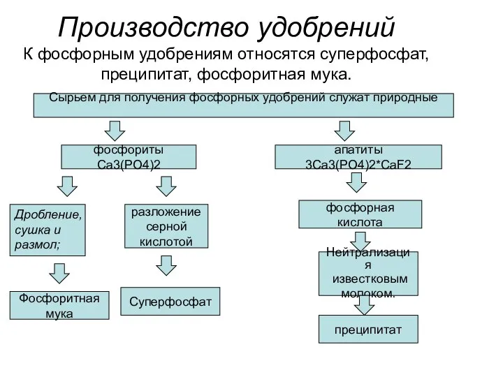 Производство удобрений К фосфорным удобрениям относятся суперфосфат, преципитат, фосфоритная мука. Сырьем