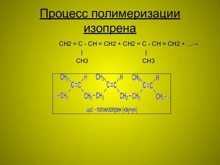 Процесс полимеризации изопрена CH2 = C - CH = CH2 +