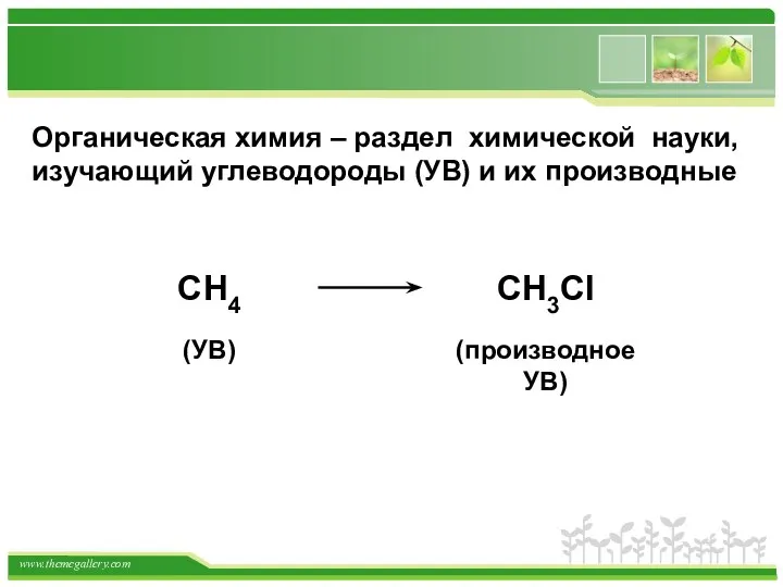 Органическая химия – раздел химической науки, изучающий углеводороды (УВ) и их производные