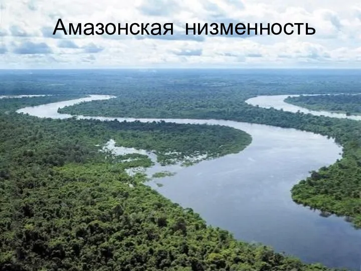 Амазонская низменность