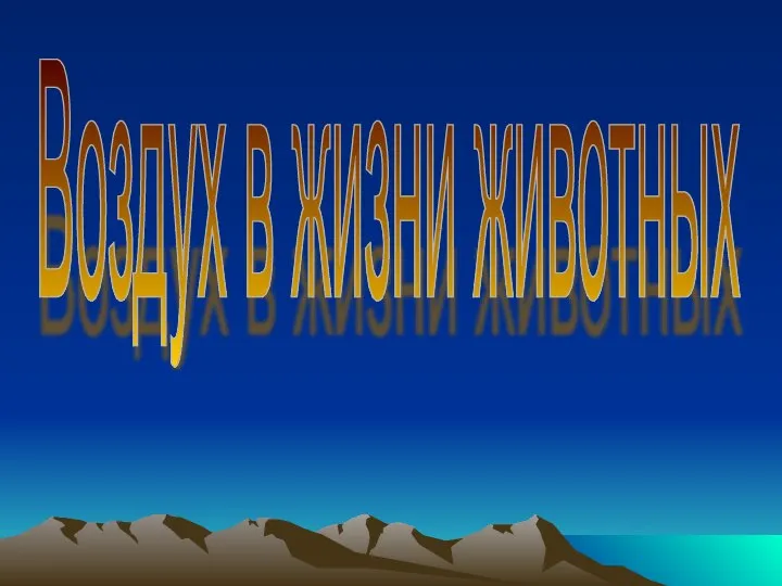 Воздух в жизни животных