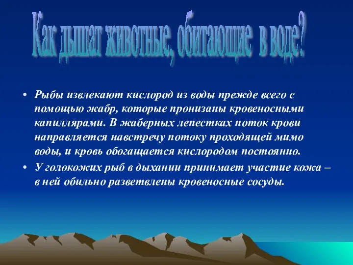 Рыбы извлекают кислород из воды прежде всего с помощью жабр, которые