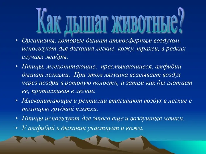 Организмы, которые дышат атмосферным воздухом, используют для дыхания легкие, кожу, трахеи,