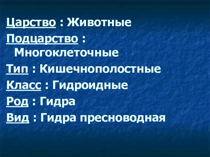 Царство : Животные Подцарство : Многоклеточные Тип : Кишечнополостные Класс :