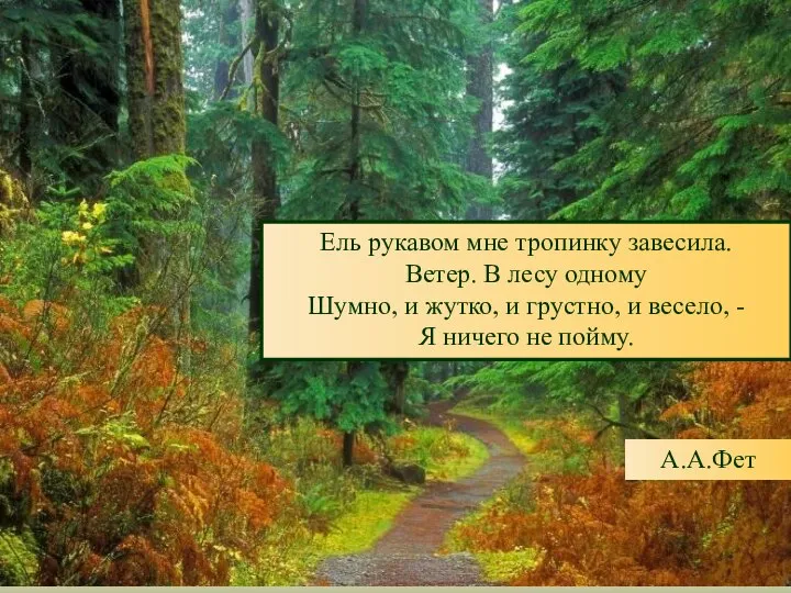 Ель рукавом мне тропинку завесила. Ветер. В лесу одному Шумно, и