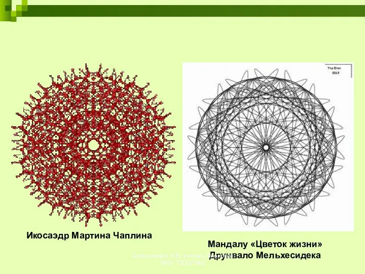 Икосаэдр Мартина Чаплина Мандалу «Цветок жизни» Друнвало Мельхесидека Соколовская Н.В. учитель биологии МОУ "СОШ"№2