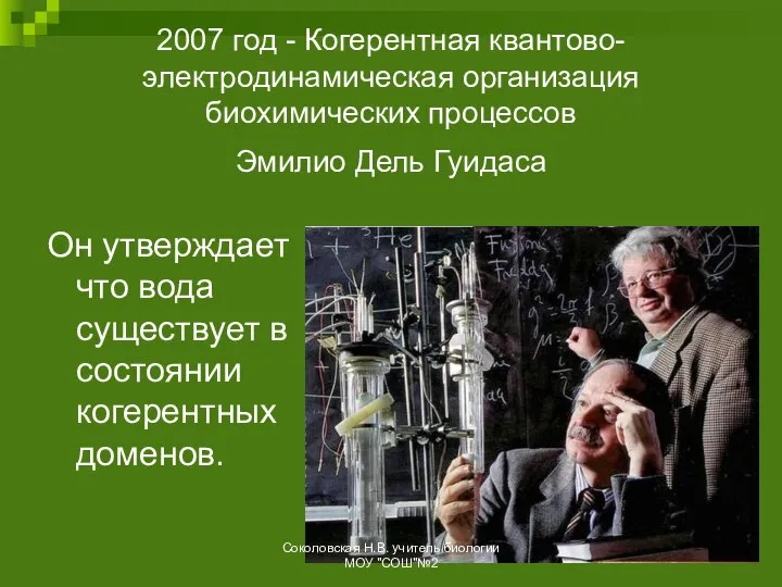 2007 год - Когерентная квантово-электродинамическая организация биохимических процессов Эмилио Дель Гуидаса