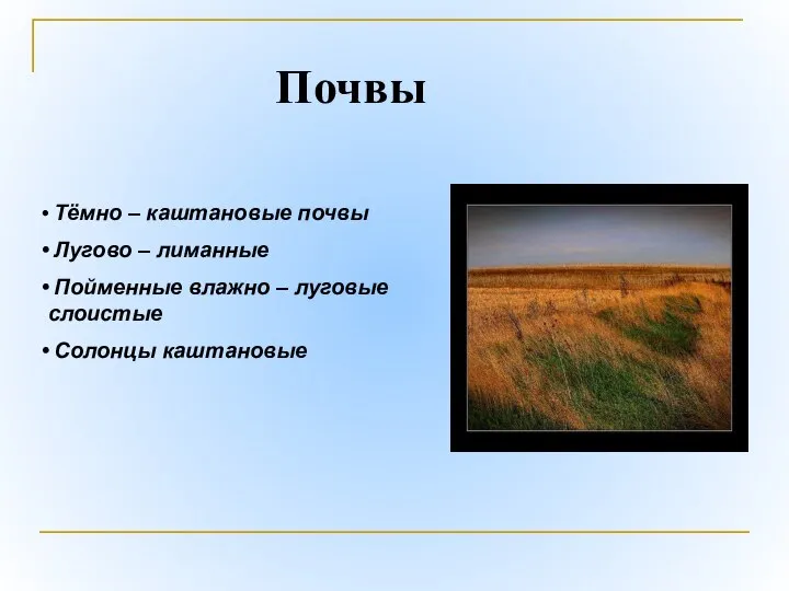 Тёмно – каштановые почвы Лугово – лиманные Пойменные влажно – луговые слоистые Солонцы каштановые Почвы