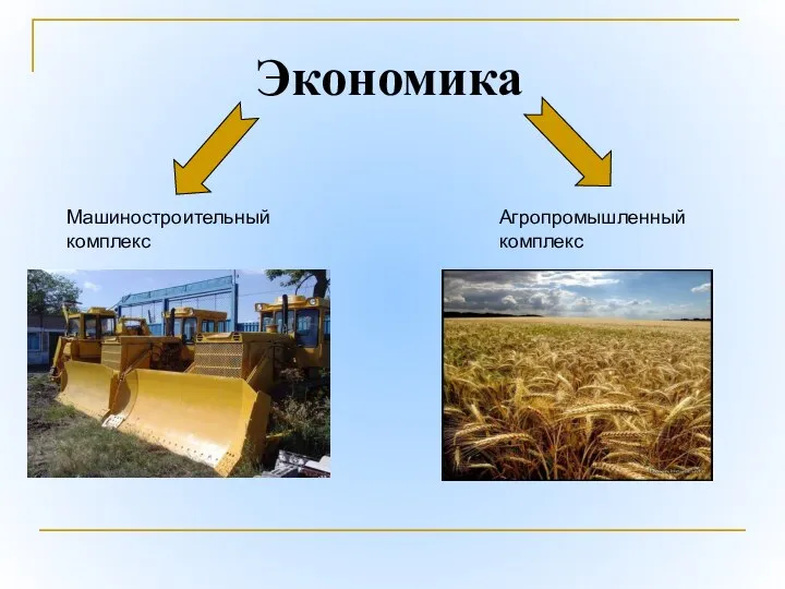 Экономика Машиностроительный комплекс Агропромышленный комплекс