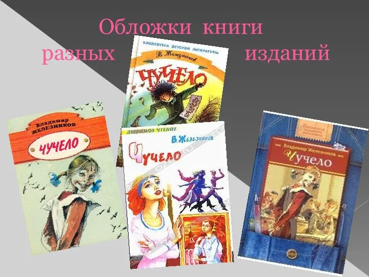 Обложки книги разных изданий