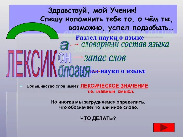 Раздел науки о языке Раздел науки о языке Большинство слов имеет