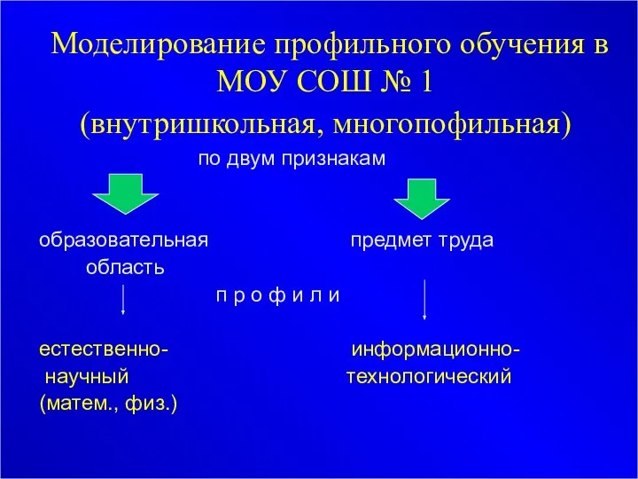 Моделирование профильного обучения в МОУ СОШ № 1 (внутришкольная, многопофильная) по