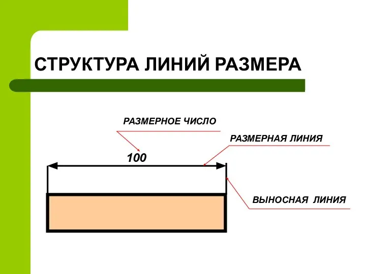 СТРУКТУРА ЛИНИЙ РАЗМЕРА 100 РАЗМЕРНОЕ ЧИСЛО РАЗМЕРНАЯ ЛИНИЯ ВЫНОСНАЯ ЛИНИЯ