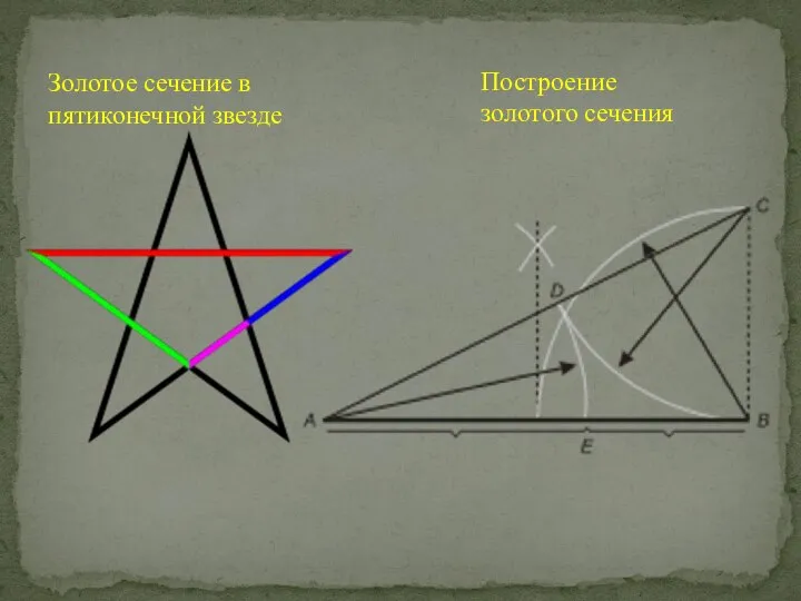 Золотое сечение в пятиконечной звезде Построение золотого сечения