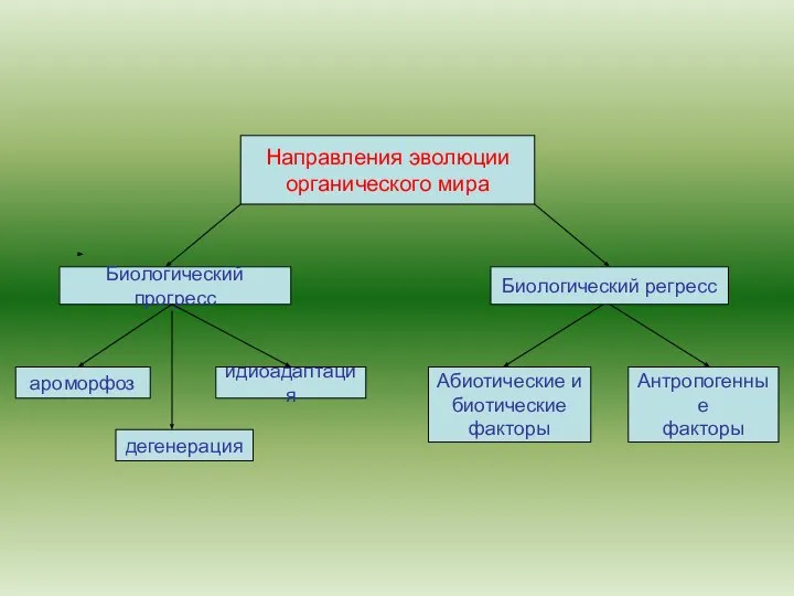 Направления эволюции органического мира Биологический прогресс ароморфоз дегенерация идиоадаптация Абиотические и