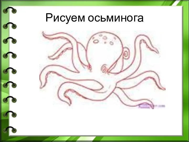 Рисуем осьминога