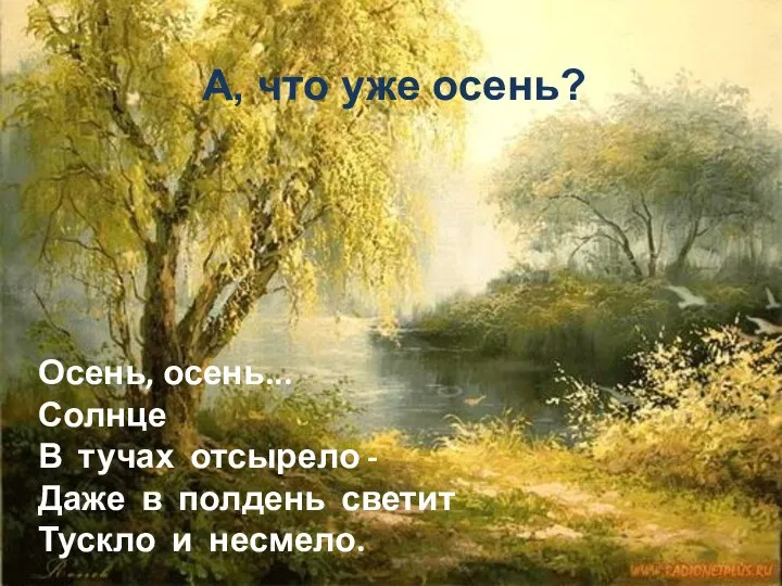 Осень, осень... Солнце В тучах отсырело - Даже в полдень светит