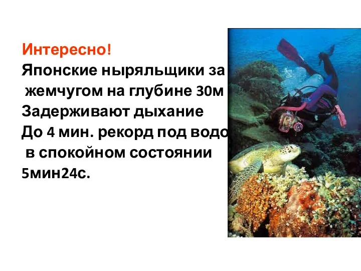 Интересно! Японские ныряльщики за жемчугом на глубине 30м Задерживают дыхание До