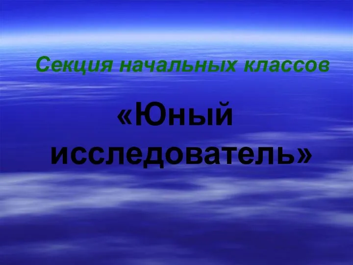 Секция начальных классов «Юный исследователь»