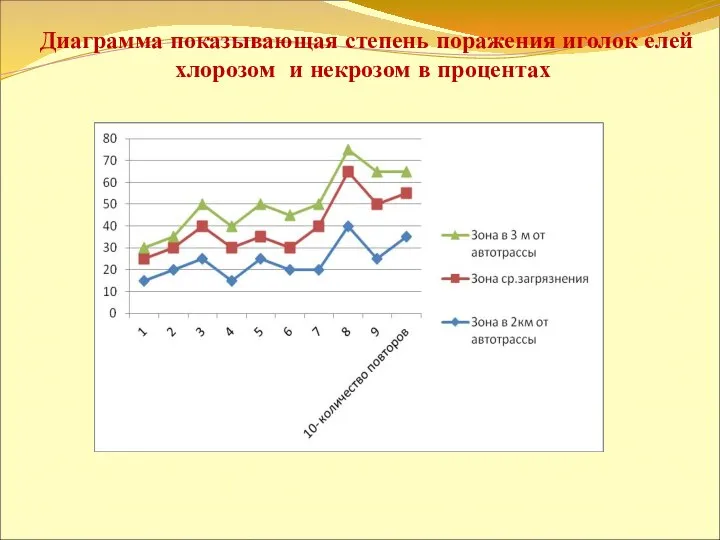 Диаграмма показывающая степень поражения иголок елей хлорозом и некрозом в процентах