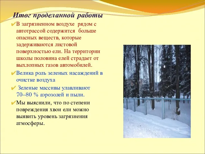 Итог проделанной работы В загрязненном воздухе рядом с автотрассой содержится больше