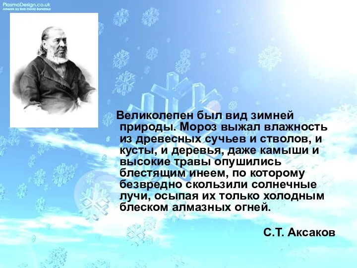 Великолепен был вид зимней природы. Мороз выжал влажность из древесных сучьев