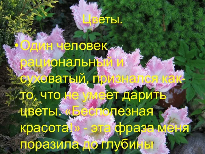 Цветы. Один человек рациональный и суховатый, признался как-то, что не умеет